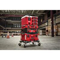 Packout Compact Cooler, 16 qt. Capacity We Share Industrial Supply