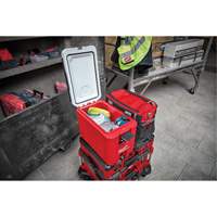 Packout Compact Cooler, 16 qt. Capacity We Share Industrial Supply