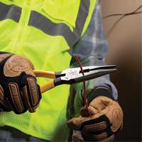 Long Nose With Side Cutter, 8-7/16" L We Share Industrial Supply