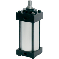 Cylindres pneumatique NFPA r&eacute;parables, 2" (50,8 mm) Al&eacute;sage We Share Industrial Supply
