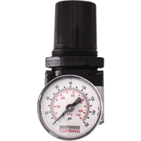 Regulators, 1/4" NPT, 150 PSI Max. PSI, Modular We Share Industrial Supply