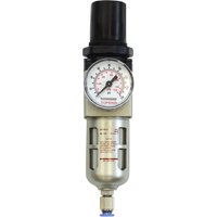 Filtreur/r&eacute;gulateur modulaire, 1/2" NPTF, 150 psi, Capacit&eacute; de 1,6 oz liq. We Share Industrial Supply
