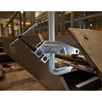 Serre-joint &agrave; pince We Share Industrial Supply