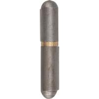 Charni&egrave;re &agrave; souder, 0,315" dia. x 1,575" lo, Acier doux a/goupille fixe en acier We Share Industrial Supply