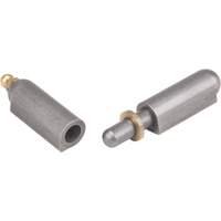 Charni&egrave;re &agrave; souder, 0,512" dia. x 3,15" lo, Acier doux a/goupille fixe en acier We Share Industrial Supply