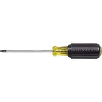 Tournevis Klein a/manche caoutchout&eacute;-Tournevis Torx &agrave; tige ronde We Share Industrial Supply