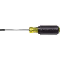 Tournevis Klein a/manche caoutchout&eacute;-Tournevis Torx &agrave; tige ronde We Share Industrial Supply