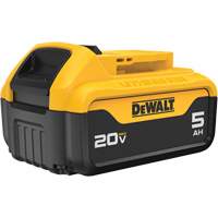 Bloc-piles Max XR Premium, Lithium-ion, 20 V, 5 A We Share Industrial Supply