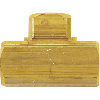 Raccord En T&eacute; Femelle, Laiton, 1/8" We Share Industrial Supply