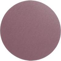 Meule en toile PSA 348D, dia 12", Grain 60, Oxyde d'aluminium, Poids We Share Industrial Supply