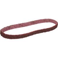 Scotch-Brite Surface Conditioning Belt We Share Industrial Supply