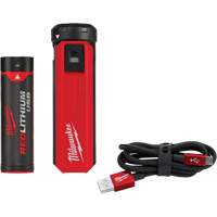 Trousse d'alimentation et de chargeur USB Redlithium, 4 V, Lithium-ion We Share Industrial Supply