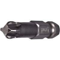 Embout pour outil &eacute;lectrique ACR, Phillips, Embout #1, Prise 1/4", Longueur 2" We Share Industrial Supply