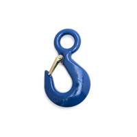 Crochet de palan We Share Industrial Supply