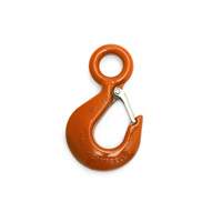 Crochet de palan We Share Industrial Supply