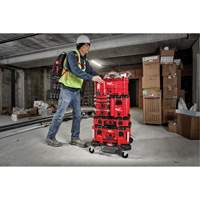 Packout Compact Tool Box, 10" x 16-1/5" x 13", Black/Red We Share Industrial Supply