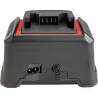 Chargeur de batterie 2,5 Ah et 5,0 Ah, 120 V, Lithium-ion We Share Industrial Supply