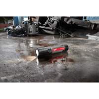 Lampe de poche compacte compatible USB, DEL, 800 lumens, Piles Rechargeable We Share Industrial Supply