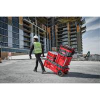 Packout Rolling Tool Chest, 15-4/5" x 34" x 28", Red We Share Industrial Supply