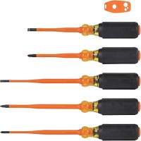 Slim-Tip Insulated Screwdriver Set, 1000 V, 6 Pcs We Share Industrial Supply