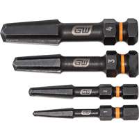 Jeu d'extracteur de vis Bolt Biter, Acier rapide, 4 Morceaux We Share Industrial Supply