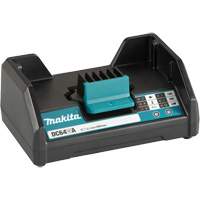 Chargeur de bloc-pile standard DC64WA, 64 V, Lithium-ion We Share Industrial Supply
