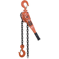 KLP-300L-5 KLP Series Heavy-Duty Lever Chain Hoist with Overload Protection, 5' Lift, 6000 lbs. (3 tons) Capacity We Share Industrial Supply