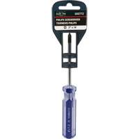 Tournevis Philips bleu transparent avec bandes, #1, Prise Plastique We Share Industrial Supply