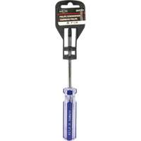 Tournevis Philips bleu transparent avec bandes, #2, Prise Plastique We Share Industrial Supply