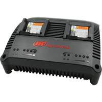 Chargeur universel s&eacute;rie IQV, 12 V/20 V, Lithium-ion We Share Industrial Supply