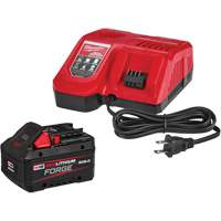 Ensemble de batterie de d&eacute;marrage M18 Redlithium Forge XC8.0, 18 V, Lithium-ion We Share Industrial Supply