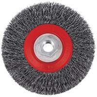5C14T High Performance Crimped Wire Brush, 5" Dia., 0.014" Fill, 5/8"-11NC Arbor We Share Industrial Supply