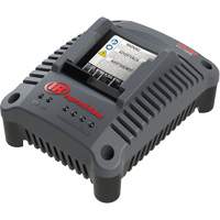 Chargeur de batterie compact IQV20, 20 V, Lithium-ion We Share Industrial Supply
