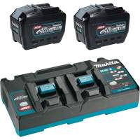 XGT Dual Port Rapid Charger Starter Kit with (2) 8 Ah Batteries, 40 V, Lithium-Ion We Share Industrial Supply
