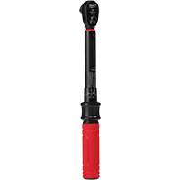 Cl&eacute; dynamom&eacute;trique, &agrave; cliquer, Entraînement 3/8" carr&eacute;, 5,6 - 28,2 Nm/50 - 250 lb-po We Share Industrial Supply