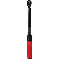 Cl&eacute; dynamom&eacute;trique, &agrave; cliquer, Entraînement 3/8" carr&eacute;, 20 - 100 lb-po/27,1 - 135,6 Nm We Share Industrial Supply