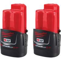 Batteries compactes M12 REDLITHIUM CP2.0, Lithium-ion, 12 V, 2 Ah We Share Industrial Supply