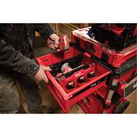 Diviseur pour boîtes &agrave; outils &agrave; tiroirs Packout We Share Industrial Supply
