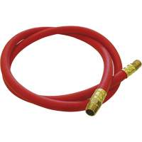 Tuyau de raccordement pour d&eacute;vidoir de tuyau, Air, Caoutchouc EDPM, 1/2" dia. x 5', 300 psi, 1/2 NPT We Share Industrial Supply
