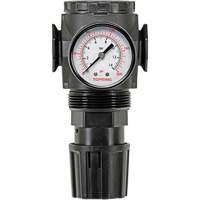 D&eacute;tendeur &agrave; diaphragme en zinc MODULAIR 300, 3/8" NPT, PSI max. de 300 psi, Canalisation/Modulaire We Share Industrial Supply