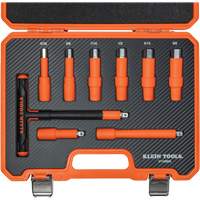 Insulated T-Handle & Hex Bit Set with Case, 1000 V, 9 Pcs We Share Industrial Supply
