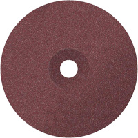 ALLSTEEL Coolcut Sanding Disc, Aluminum Oxide, 24, 7" Dia x 7/8" Arbor We Share Industrial Supply