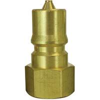 Bouchon pour raccord hydraulique rapide, 1/8" dia., Laiton We Share Industrial Supply
