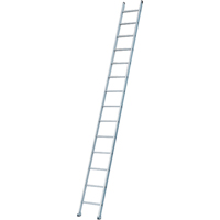 Industrial Heavy-Duty Extension/Straight Ladders, 8', Aluminum, 300 lbs., CSA Grade 1A We Share Industrial Supply