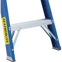 Industrial Duty Stepladders (6300 Series), 4', Fibreglass, 250 lbs. Capacity, Type 1 We Share Industrial Supply
