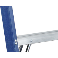 Industrial Duty Stepladders (6300 Series), 4', Fibreglass, 250 lbs. Capacity, Type 1 We Share Industrial Supply