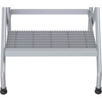 Aluminum Step Stand, 2 Step(s), 22-13/16" W x 24-9/16" L x 20" H, 500 lbs. Capacity We Share Industrial Supply