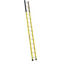 &eacute;chelle &eacute;troite pour trou d'homme, 14', Fibre de verre, 375 lb, CSA calibre 1AA We Share Industrial Supply