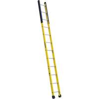 &eacute;chelle &eacute;troite pour trou d'homme, 12', Fibre de verre, 375 lb, CSA calibre 1AA We Share Industrial Supply