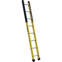 &eacute;chelle &eacute;troite pour trou d'homme, 8', Fibre de verre, 375 lb, CSA calibre 1AA We Share Industrial Supply
